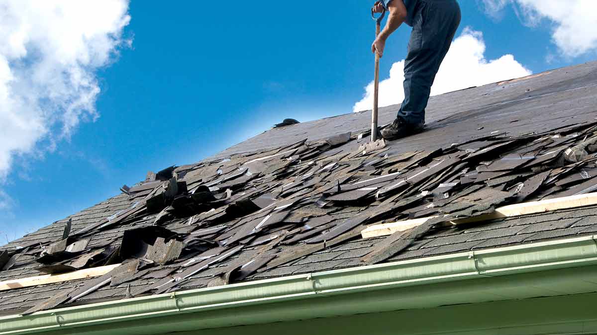 How to Perform a DIY Roof Check: Step-by-Step Inspection Guide