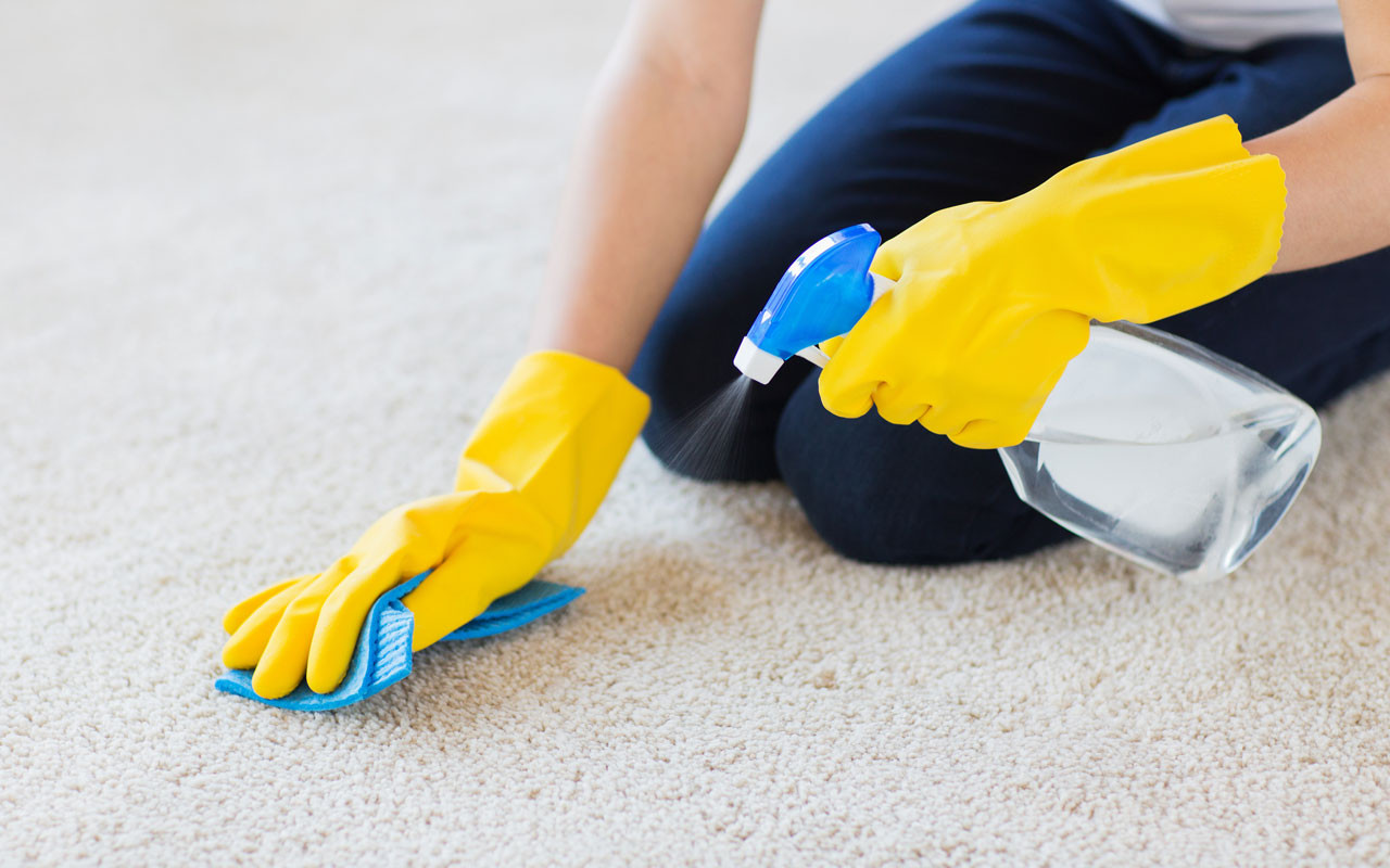 Stain-Free Living Mastering the Craft of Carpet Cleaning Brilliance